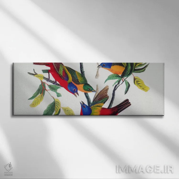 تابلو فنچ رنگارنگ اثر جان جیمز آدوبون (نقاش و پرندهشناس) - نمای روبهرو روی دیوار