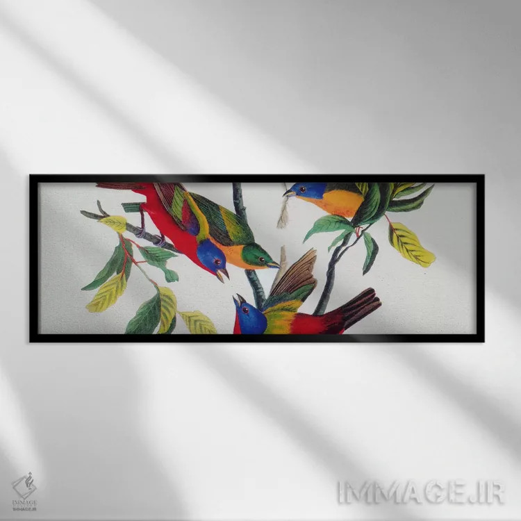 تابلو فنچ رنگارنگ اثر جان جیمز آدوبون (نقاش و پرندهشناس) - نمای قابدار مشکی