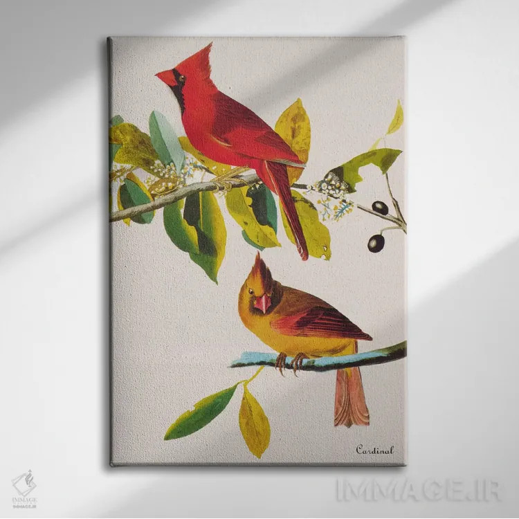 تابلو کارباورال (پرنده) اثر جان جیمز آدوبون (نقاش و پرندهشناس) - نمای روبهرو روی دیوار