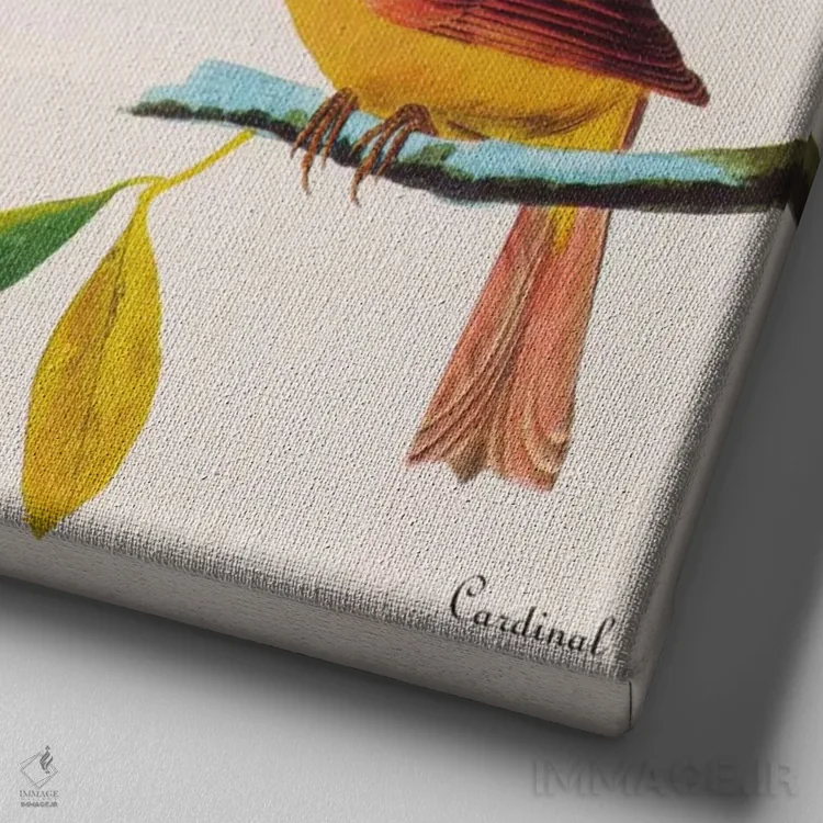 تابلو کارباورال (پرنده) اثر جان جیمز آدوبون (نقاش و پرندهشناس) - نمای نزدیک بافت بوم