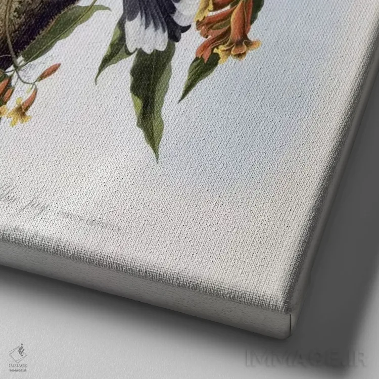 تابلو جی آبی اثر جان جیمز آدوبون (نقاش و پرندهشناس) - نمای نزدیک بافت بوم