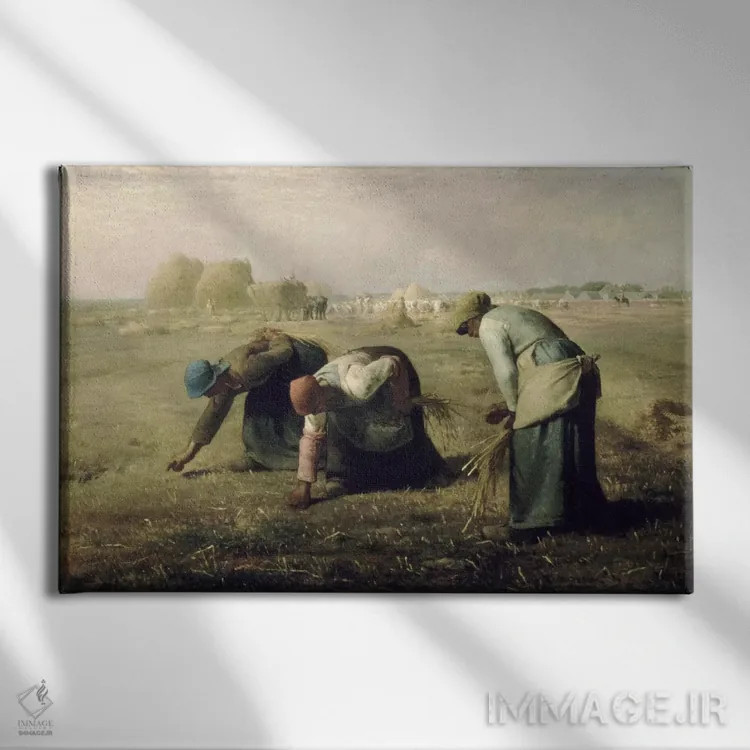 تابلو خوشهچینان اثر ژان فرانسوا میه - نمای روبهرو روی دیوار