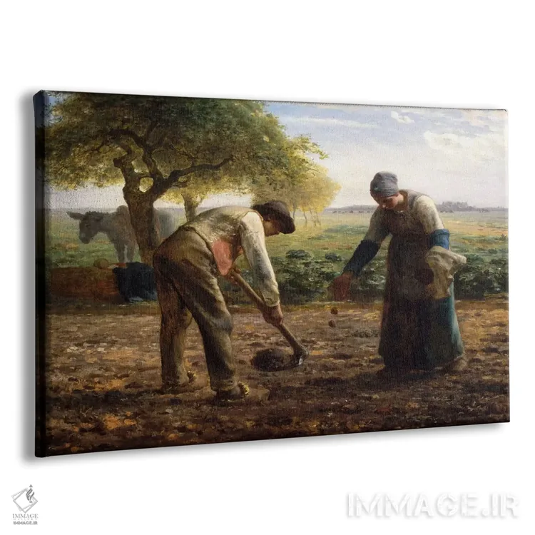 تابلو کاشتکنندگان سیبزمینی اثر ژان فرانسوا میه - نمای پرسپکتیو محصول