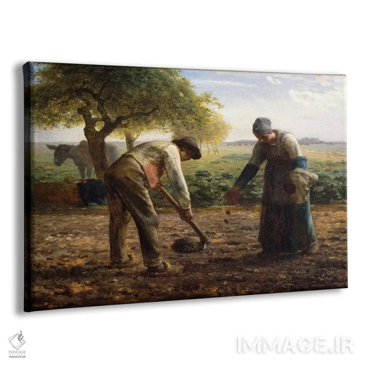 تابلو کاشتکنندگان سیبزمینی اثر ژان فرانسوا میه - نمای پرسپکتیو محصول