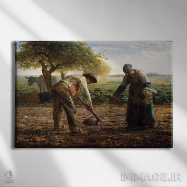 تابلو کاشتکنندگان سیبزمینی اثر ژان فرانسوا میه - نمای روبهرو روی دیوار