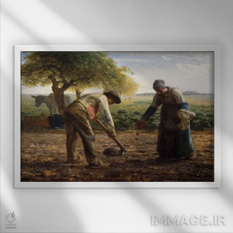 تابلو کاشتکنندگان سیبزمینی اثر ژان فرانسوا میه - نمای قابدار سفید