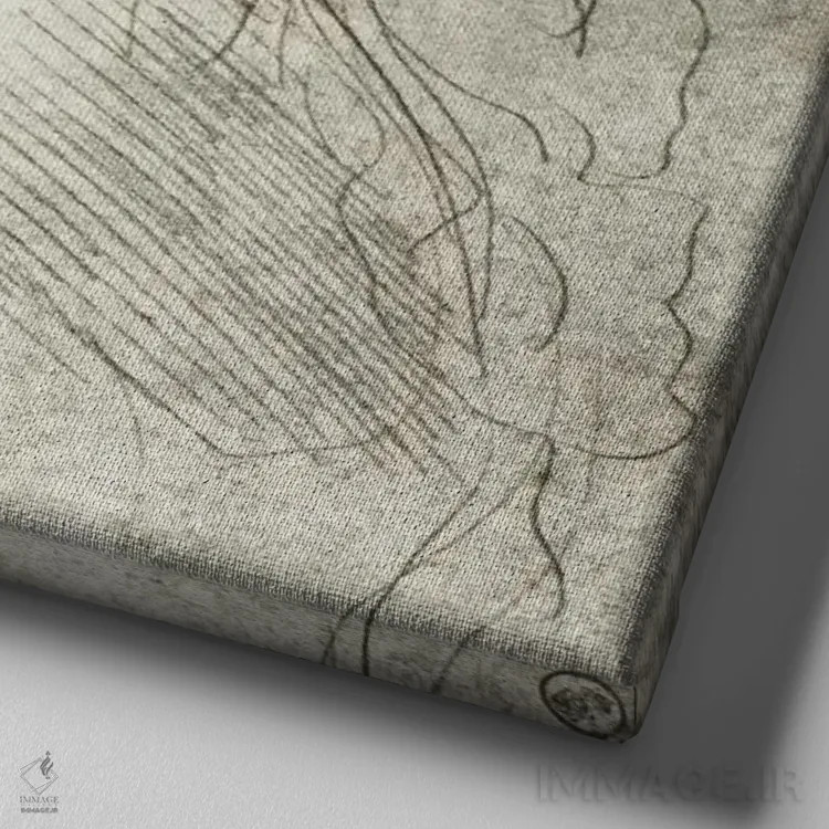 تابلو سر یک دختر، ۱۴۸۳ اثر لئوناردو داوینچی (نقاش و مخترع ایتالیایی) - نمای نزدیک بافت بوم