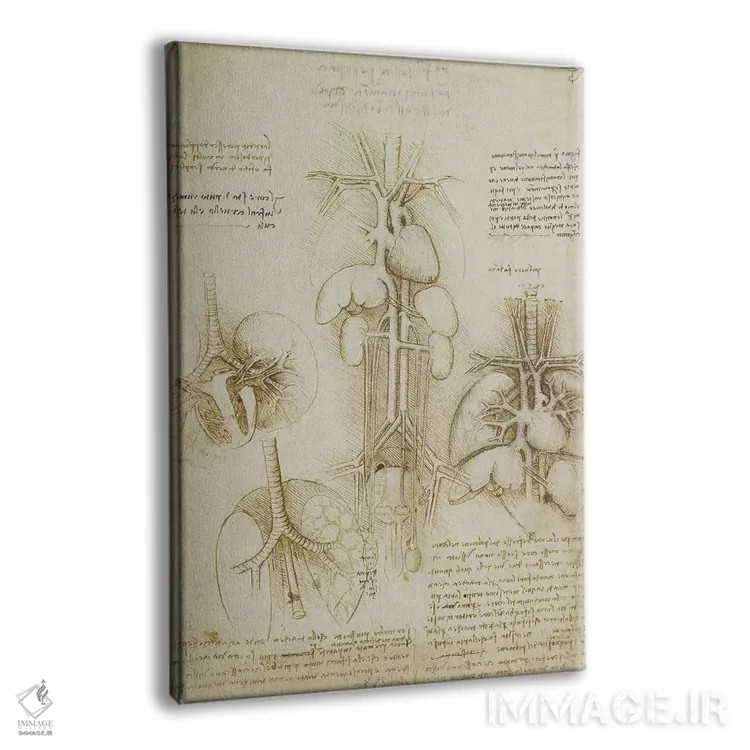 تابلو طرح قلب و ریهها اثر لئوناردو داوینچی (نقاش و مخترع ایتالیایی) - نمای پرسپکتیو محصول