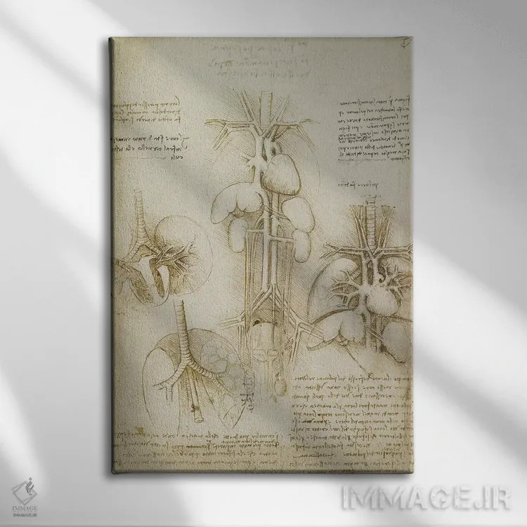 تابلو طرح قلب و ریهها اثر لئوناردو داوینچی (نقاش و مخترع ایتالیایی) - نمای روبهرو روی دیوار