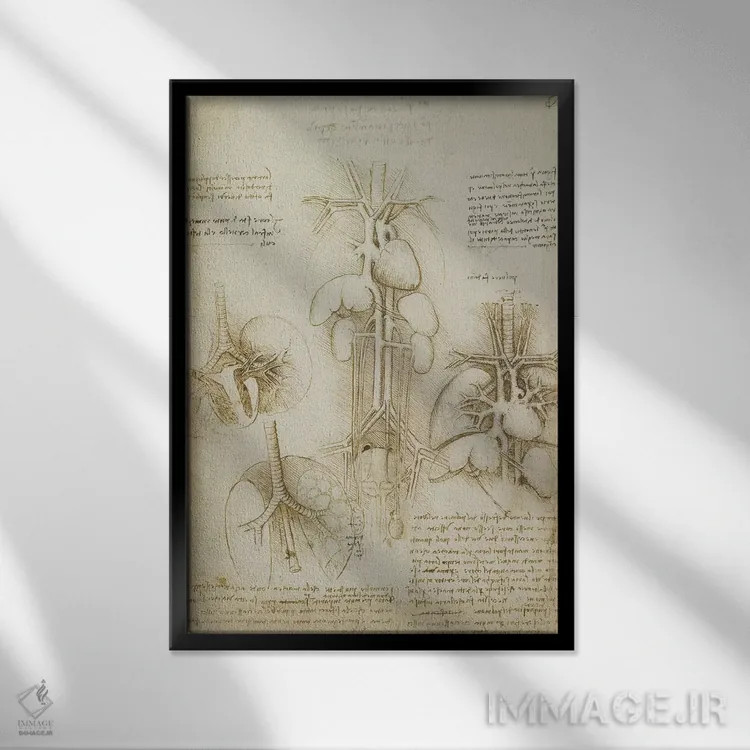 تابلو طرح قلب و ریهها اثر لئوناردو داوینچی (نقاش و مخترع ایتالیایی) - نمای قابدار مشکی