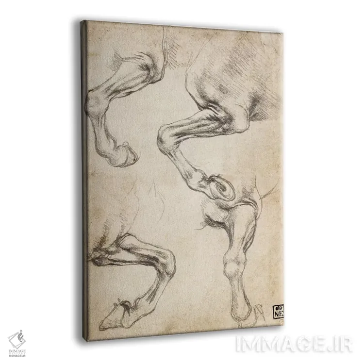 تابلو مطالعات پای اسب اثر لئوناردو داوینچی (نقاش و مخترع ایتالیایی) - نمای پرسپکتیو محصول