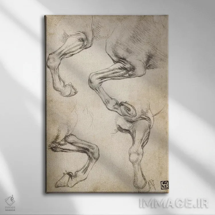 تابلو مطالعات پای اسب اثر لئوناردو داوینچی (نقاش و مخترع ایتالیایی) - نمای روبهرو روی دیوار