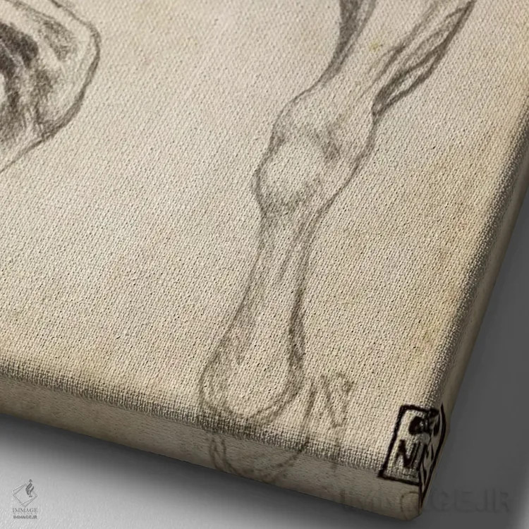 تابلو مطالعات پای اسب اثر لئوناردو داوینچی (نقاش و مخترع ایتالیایی) - نمای نزدیک بافت بوم