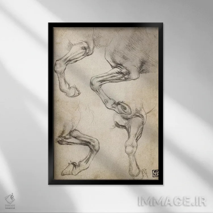 تابلو مطالعات پای اسب اثر لئوناردو داوینچی (نقاش و مخترع ایتالیایی) - نمای قابدار مشکی