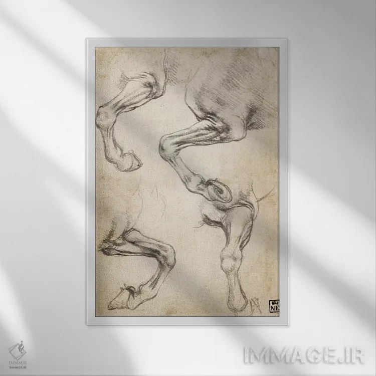 تابلو مطالعات پای اسب اثر لئوناردو داوینچی (نقاش و مخترع ایتالیایی) - نمای قابدار سفید