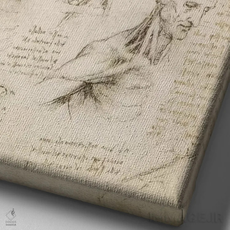 تابلو کالبدشناسی سطحی شانه و گردن (روی کاغذ)، ۱۵۱۰ اثر لئوناردو داوینچی (نقاش و مخترع ایتالیایی) - نمای نزدیک بافت بوم