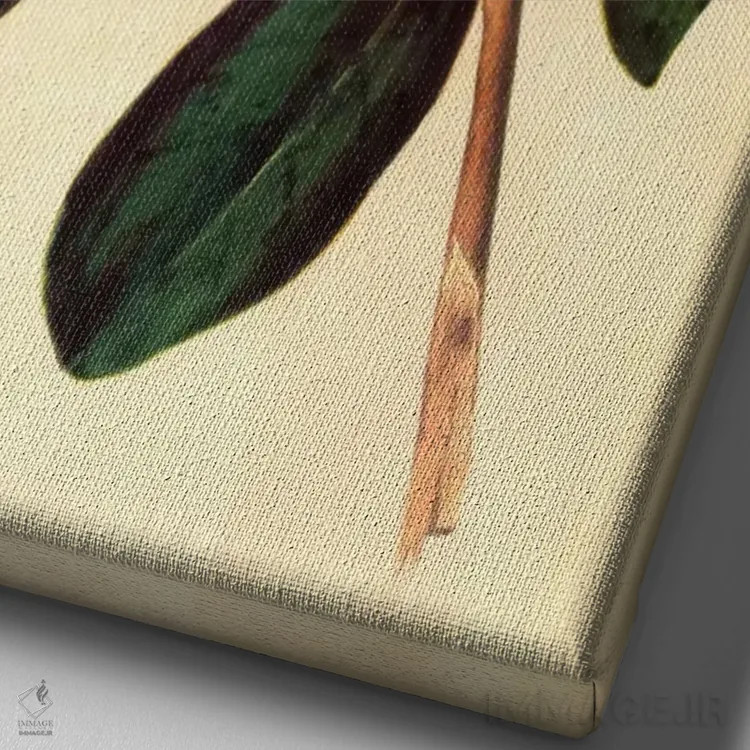 تابلو پرندهٔ خوشآواز (واربلر) اثر جان جیمز آدوبون (نقاش و پرندهشناس) - نمای نزدیک بافت بوم