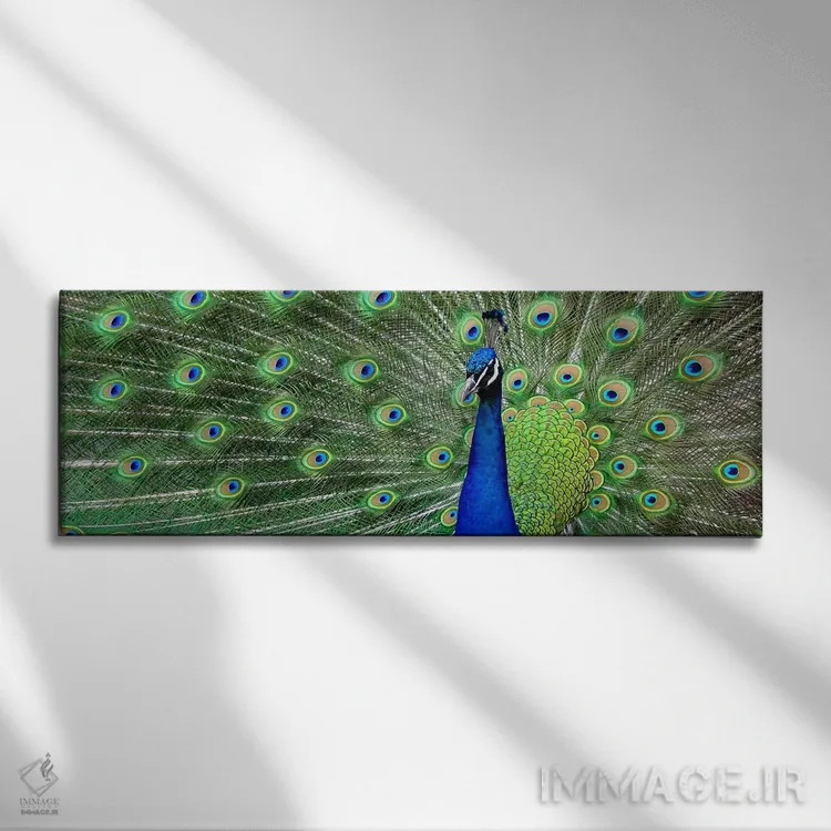 تابلو طاووس آبی اثر هنرمند ناشناس - نمای روبهرو روی دیوار