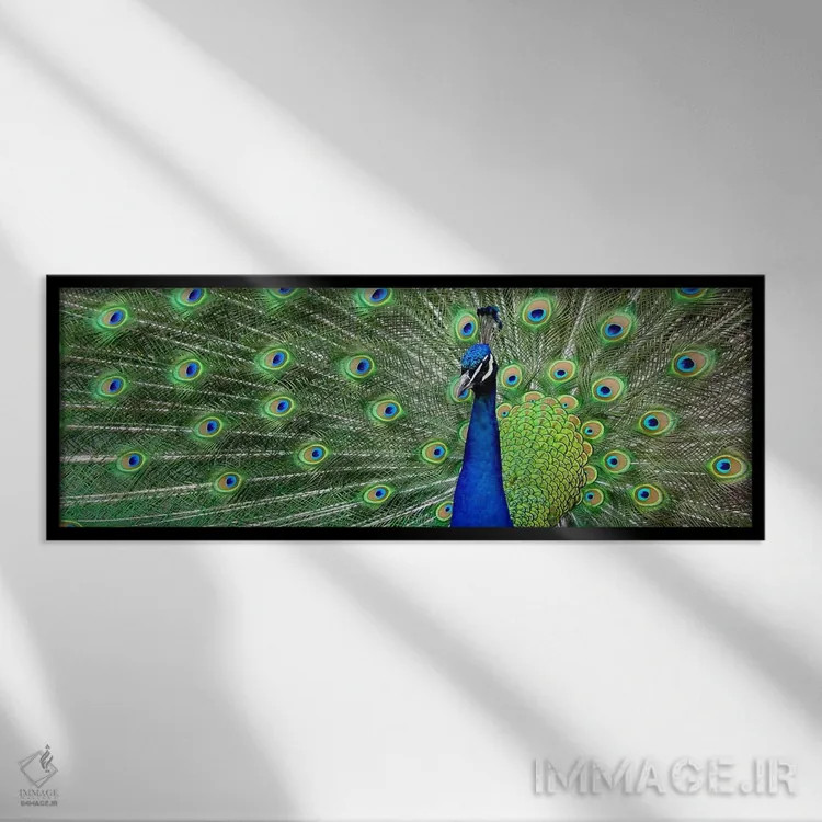 تابلو طاووس آبی اثر هنرمند ناشناس - نمای قابدار مشکی