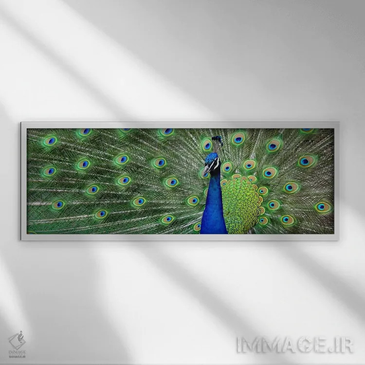 تابلو طاووس آبی اثر هنرمند ناشناس - نمای قابدار سفید