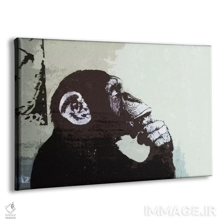 تابلو میمون متفکر اثر هنرمند ناشناس - نمای پرسپکتیو محصول