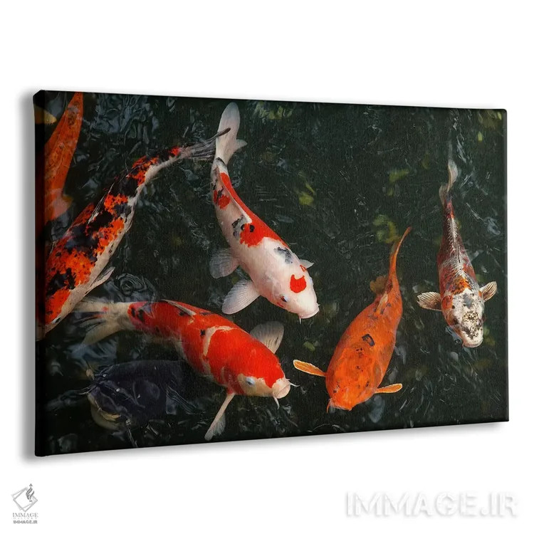 تابلو ماهی کوی در ژاپن اثر هنرمند ناشناس - نمای پرسپکتیو محصول