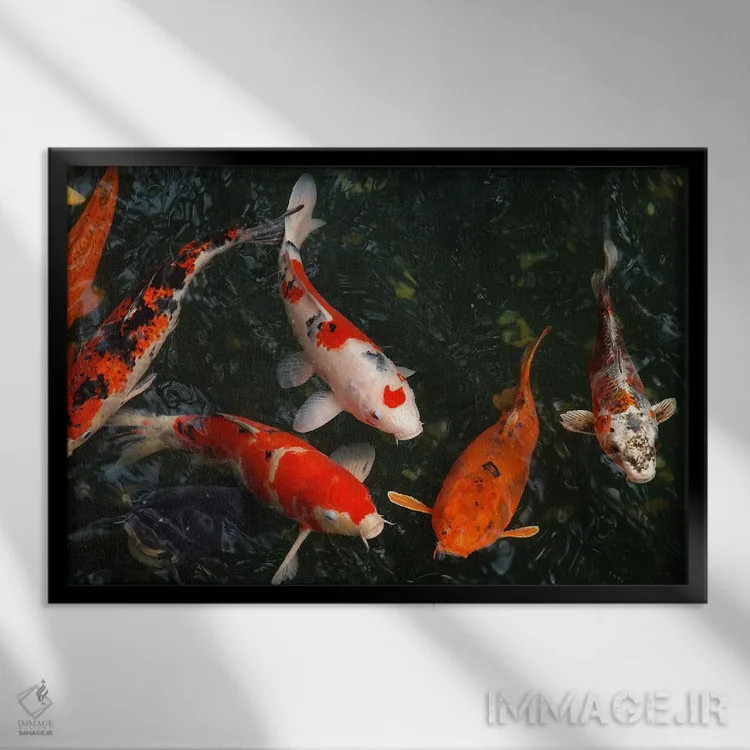 تابلو ماهی کوی در ژاپن اثر هنرمند ناشناس - نمای قابدار مشکی