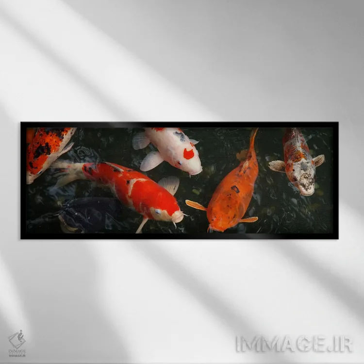 تابلو ماهی کوی در ژاپن (پانوراما) اثر هنرمند ناشناس - نمای قابدار مشکی