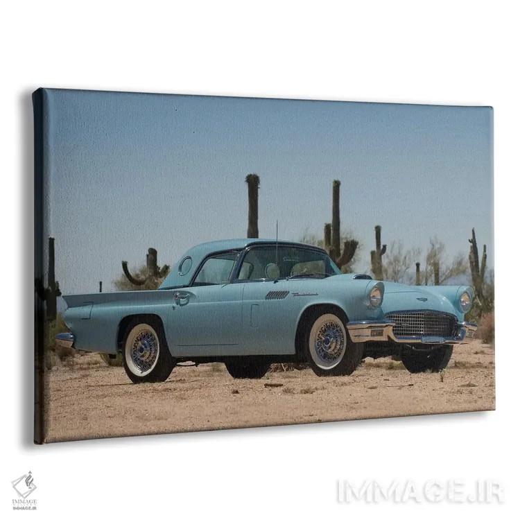 تابلو فورد تاندر برد ۱۹۵۷ (خودرو) اثر هنرمند ناشناس - نمای پرسپکتیو محصول