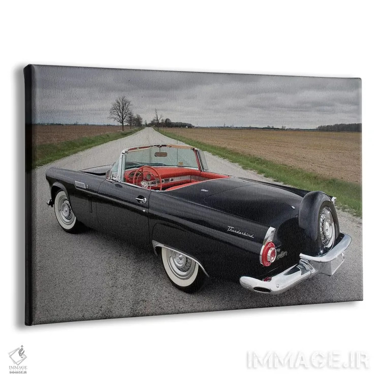 تابلو فورد تاندر برد ۱۹۵۶ اثر هنرمند ناشناس - نمای پرسپکتیو محصول