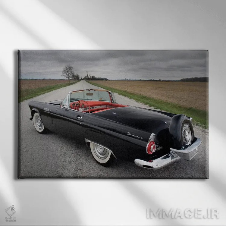 تابلو فورد تاندر برد ۱۹۵۶ اثر هنرمند ناشناس - نمای روبهرو روی دیوار