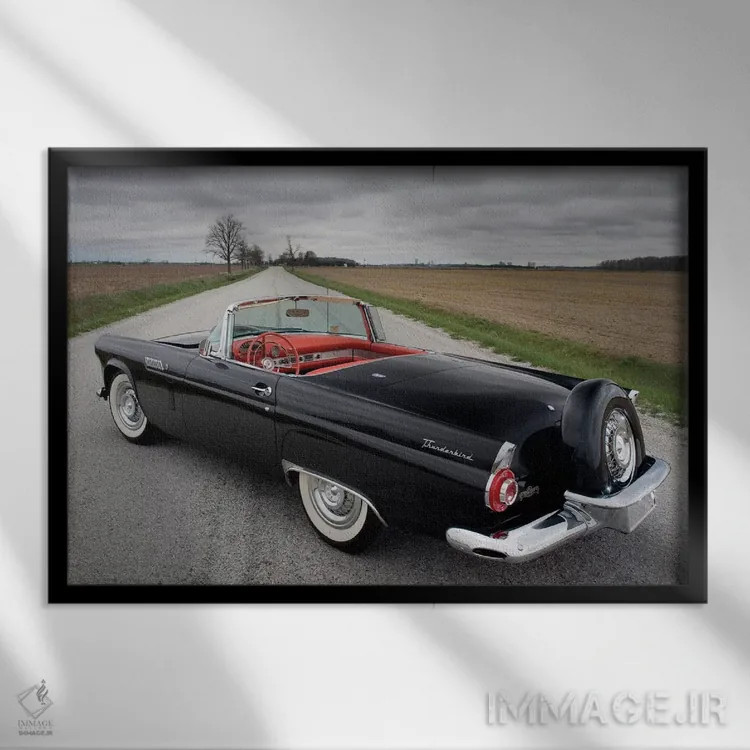 تابلو فورد تاندر برد ۱۹۵۶ اثر هنرمند ناشناس - نمای قابدار مشکی