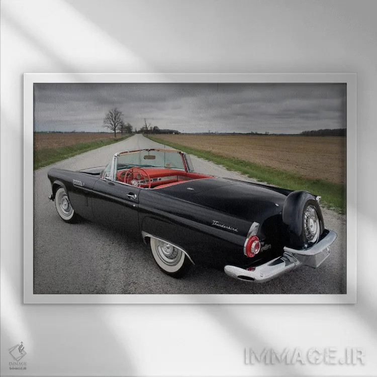 تابلو فورد تاندر برد ۱۹۵۶ اثر هنرمند ناشناس - نمای قابدار سفید