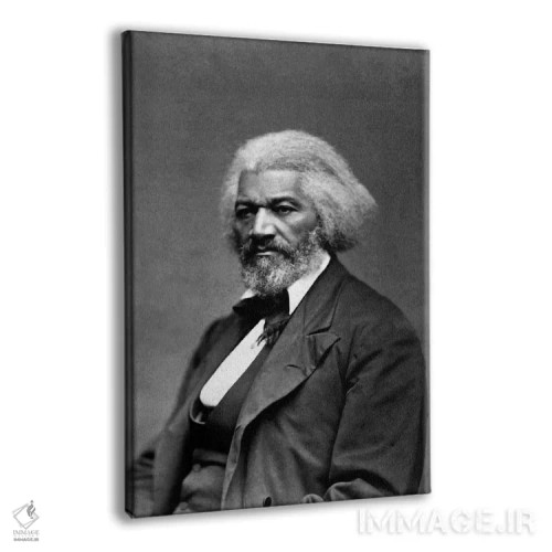 تابلو پرترهٔ فردریک داگلاس اثر هنرمند ناشناس - نمای پرسپکتیو محصول