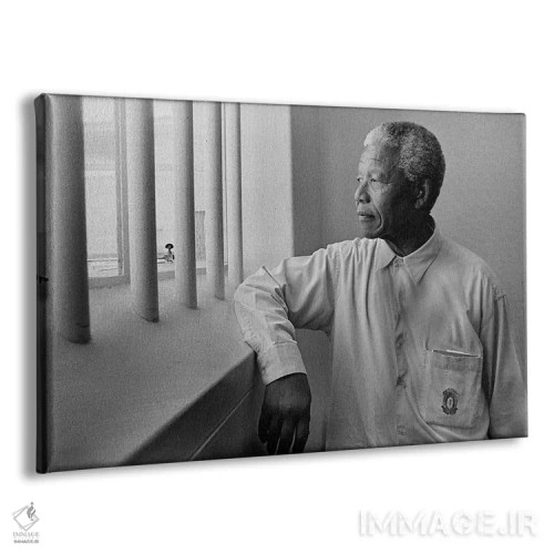 تابلو پرترهٔ نلسون ماندلا اثر هنرمند ناشناس - نمای پرسپکتیو محصول