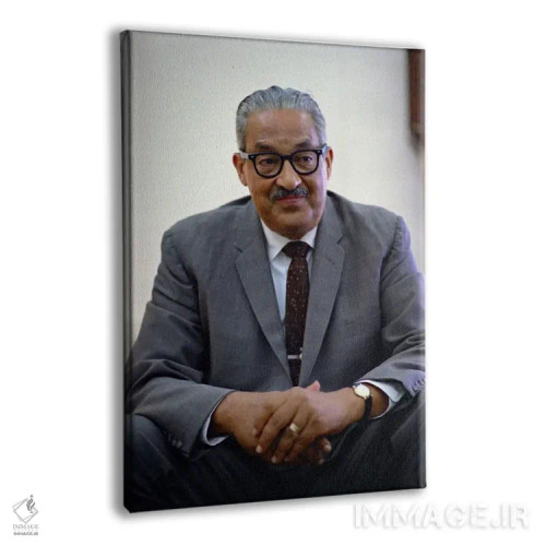 تابلو پرترهٔ ثرگود مارشال اثر هنرمند ناشناس - نمای پرسپکتیو محصول