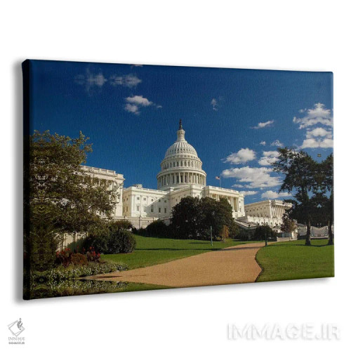 تابلو ساختمان کپیتال (کنگرهٔ آمریکا) اثر هنرمند ناشناس - نمای پرسپکتیو محصول