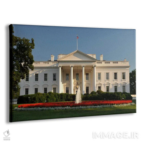 تابلو کاخ سفید اثر هنرمند ناشناس - نمای پرسپکتیو محصول