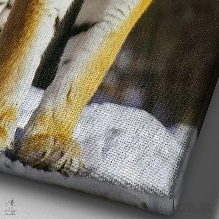 تابلو ببر اثر هنرمند ناشناس - نمای نزدیک بافت بوم