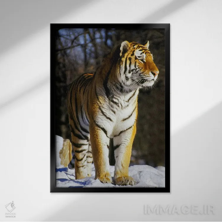 تابلو ببر اثر هنرمند ناشناس - نمای قابدار مشکی