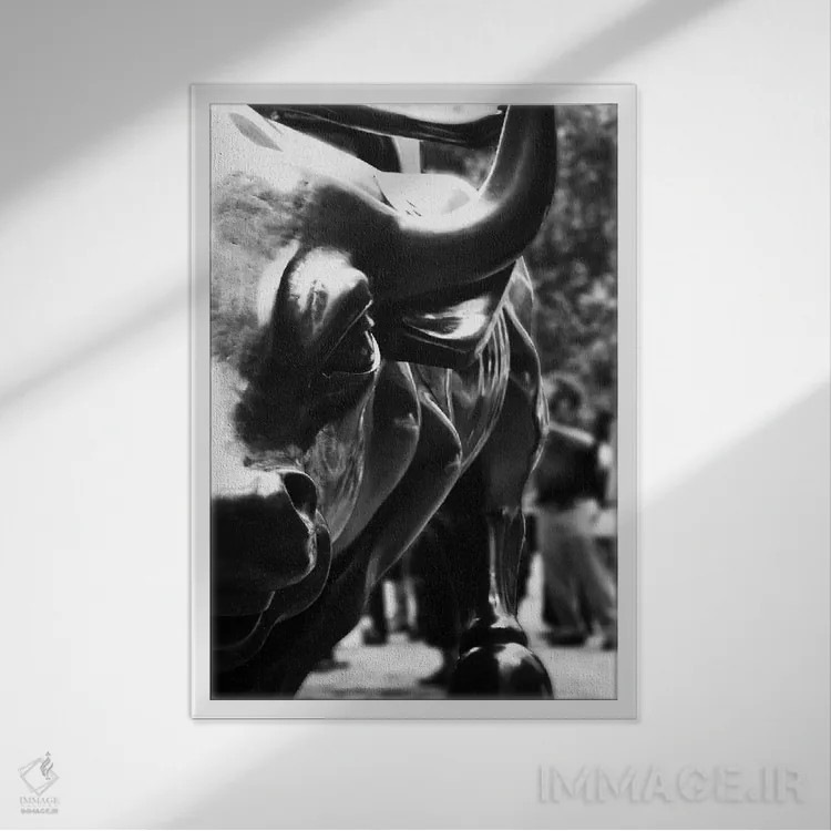 تابلو نمای نزدیک از گاو وال استریت اثر هنرمند ناشناس - نمای قابدار سفید