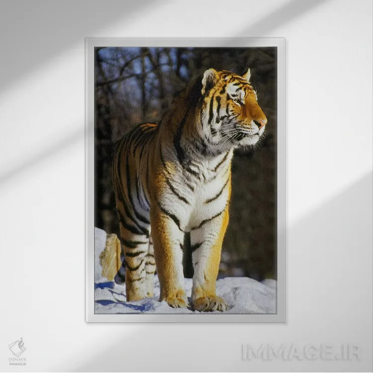 تابلو ببر اثر هنرمند ناشناس - نمای قابدار سفید