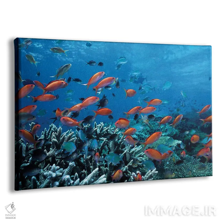 تابلو ماهیهای اقیانوس و صخرههای مرجانی اثر هنرمند ناشناس - نمای پرسپکتیو محصول