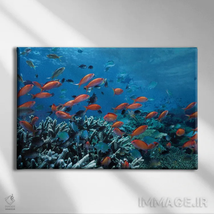 تابلو ماهیهای اقیانوس و صخرههای مرجانی اثر هنرمند ناشناس - نمای روبهرو روی دیوار