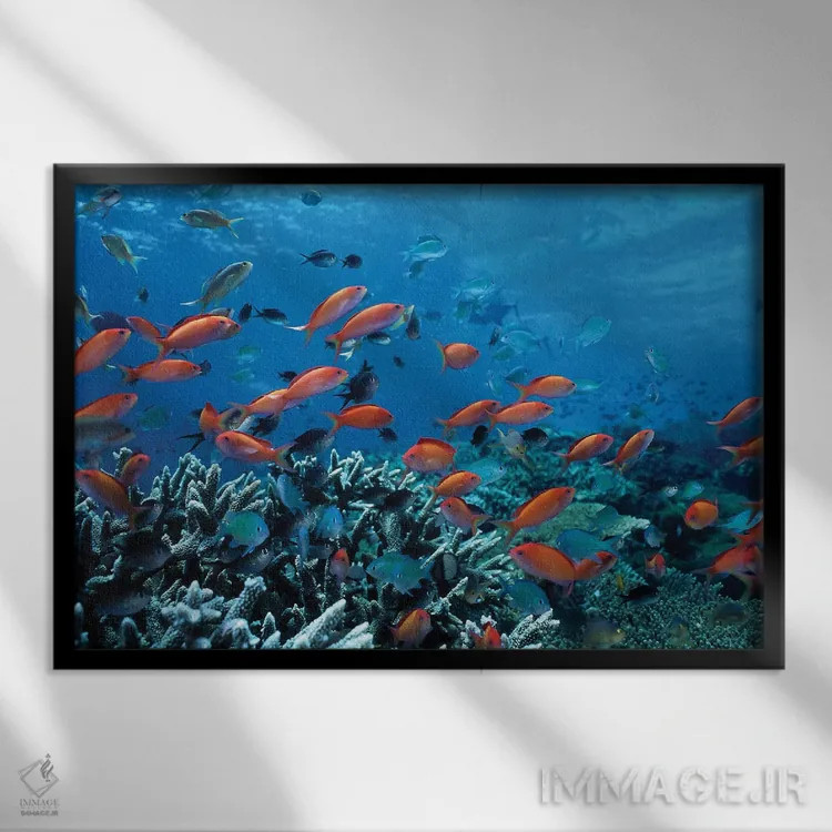 تابلو ماهیهای اقیانوس و صخرههای مرجانی اثر هنرمند ناشناس - نمای قابدار مشکی
