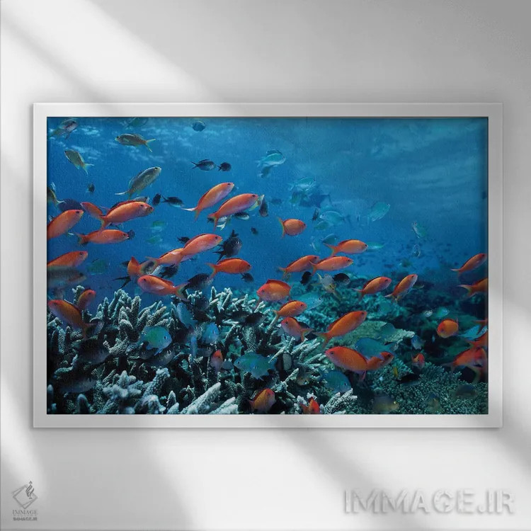 تابلو ماهیهای اقیانوس و صخرههای مرجانی اثر هنرمند ناشناس - نمای قابدار سفید