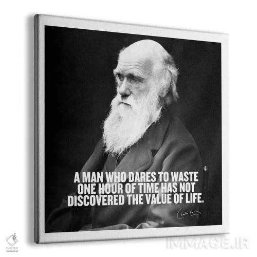 تابلو نقلقولی از چارلز داروین اثر هنرمند ناشناس - نمای پرسپکتیو محصول