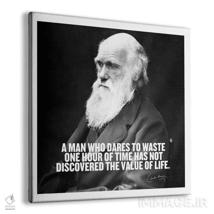 تابلو نقلقولی از چارلز داروین اثر هنرمند ناشناس - نمای پرسپکتیو محصول