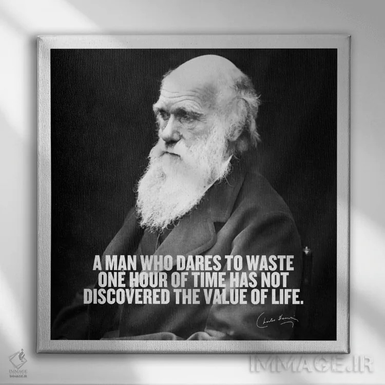 تابلو نقلقولی از چارلز داروین اثر هنرمند ناشناس - نمای روبهرو روی دیوار