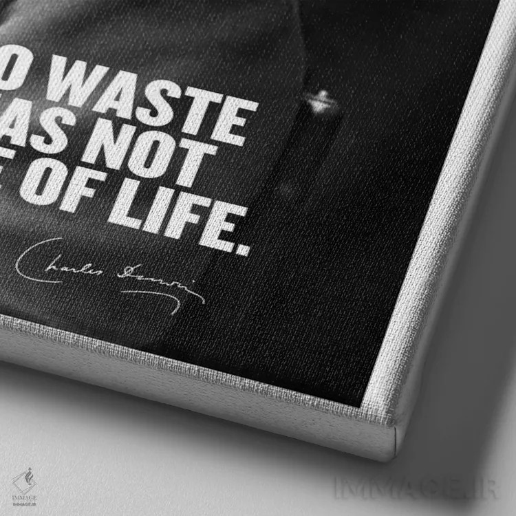 تابلو نقلقولی از چارلز داروین اثر هنرمند ناشناس - نمای نزدیک بافت بوم